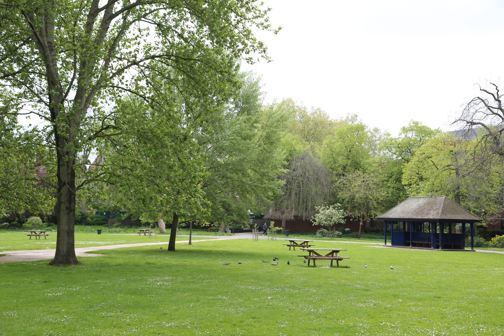 Green field area with picnic tables and a covered pavilion in Archbishop Park.