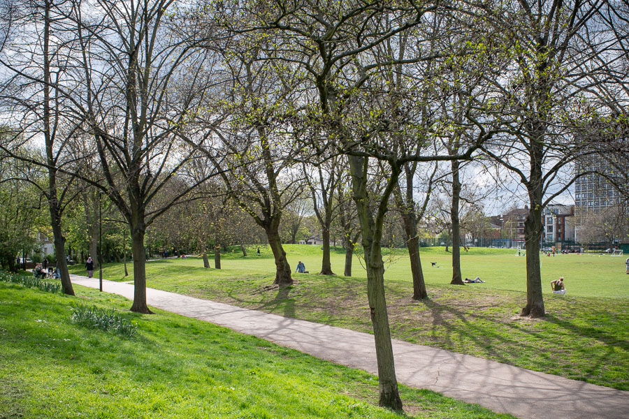 Larkhall Park 6